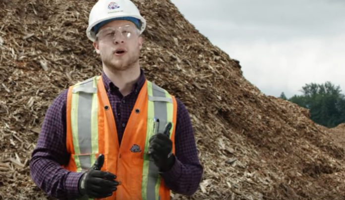 where-does-biomass-come-from where-does-biomass-come-from